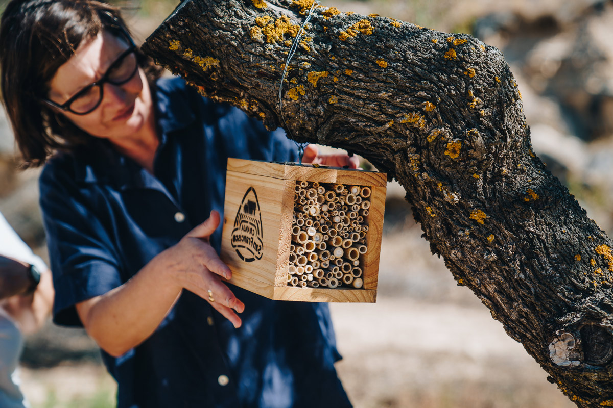 Agricultura Regenerativa Vallbona de les Monges