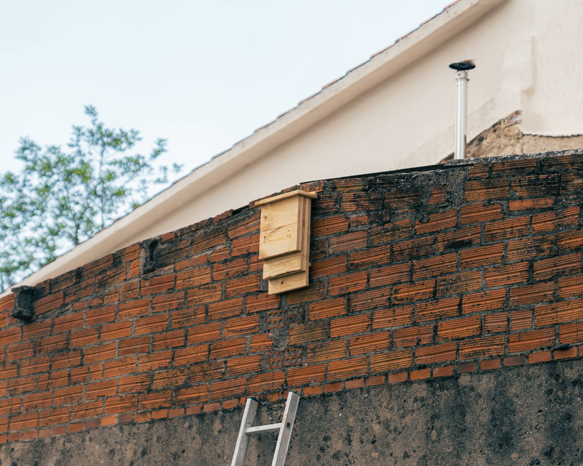 Agricultura Regenerativa Breda