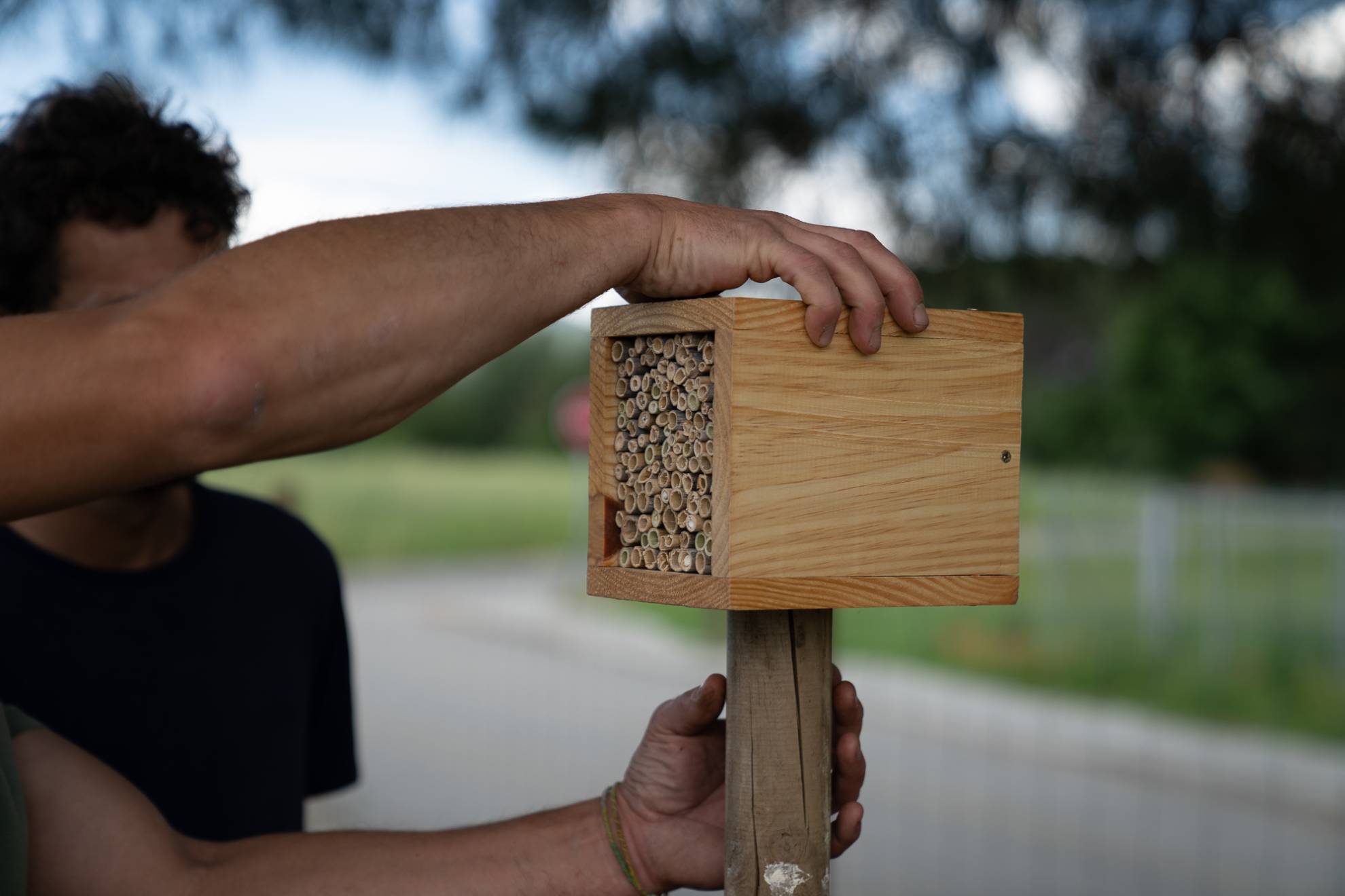 Agricultura Regenerativa Breda