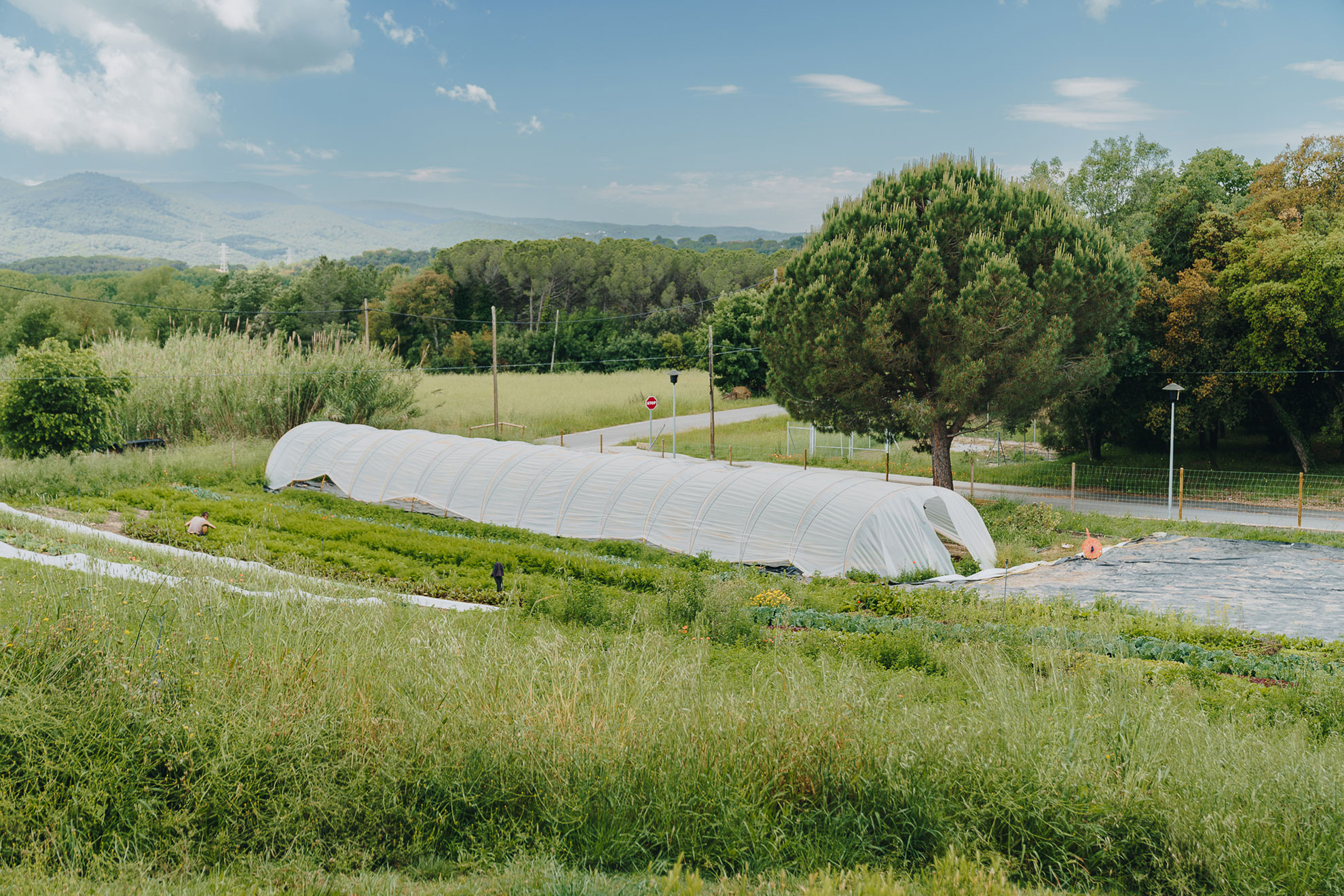 Agricultura Regenerativa Breda