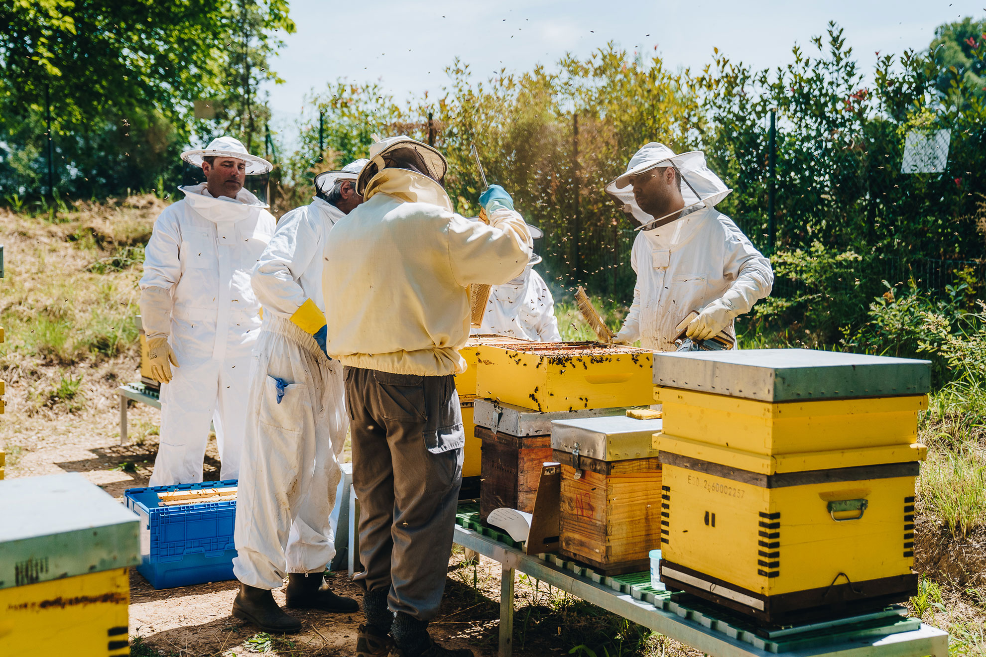 Colmenar UABEE Sardañola del Vallés