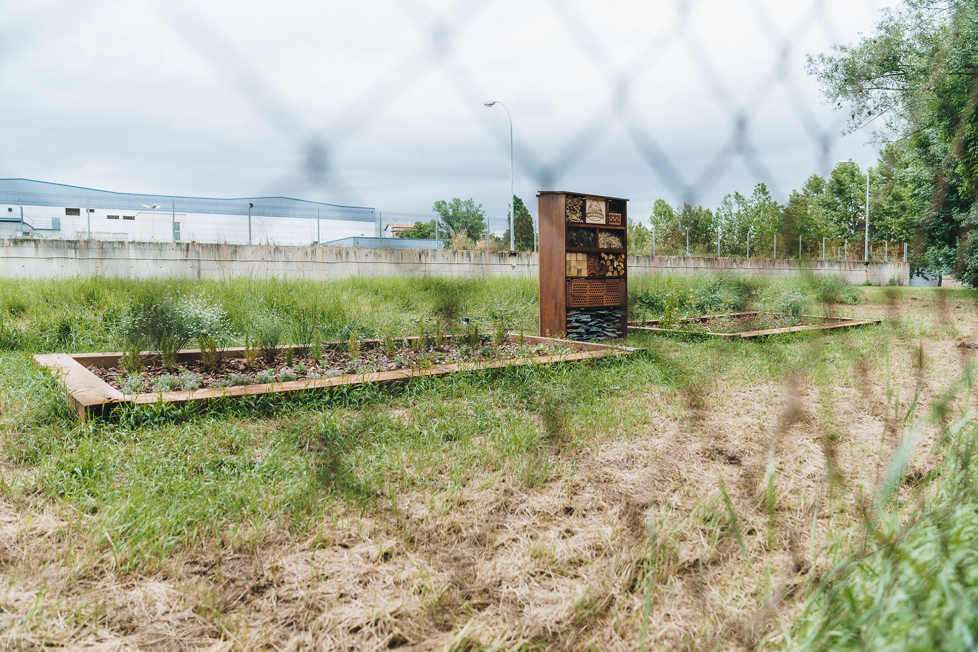 Jardín de polinizadores Manlleu
