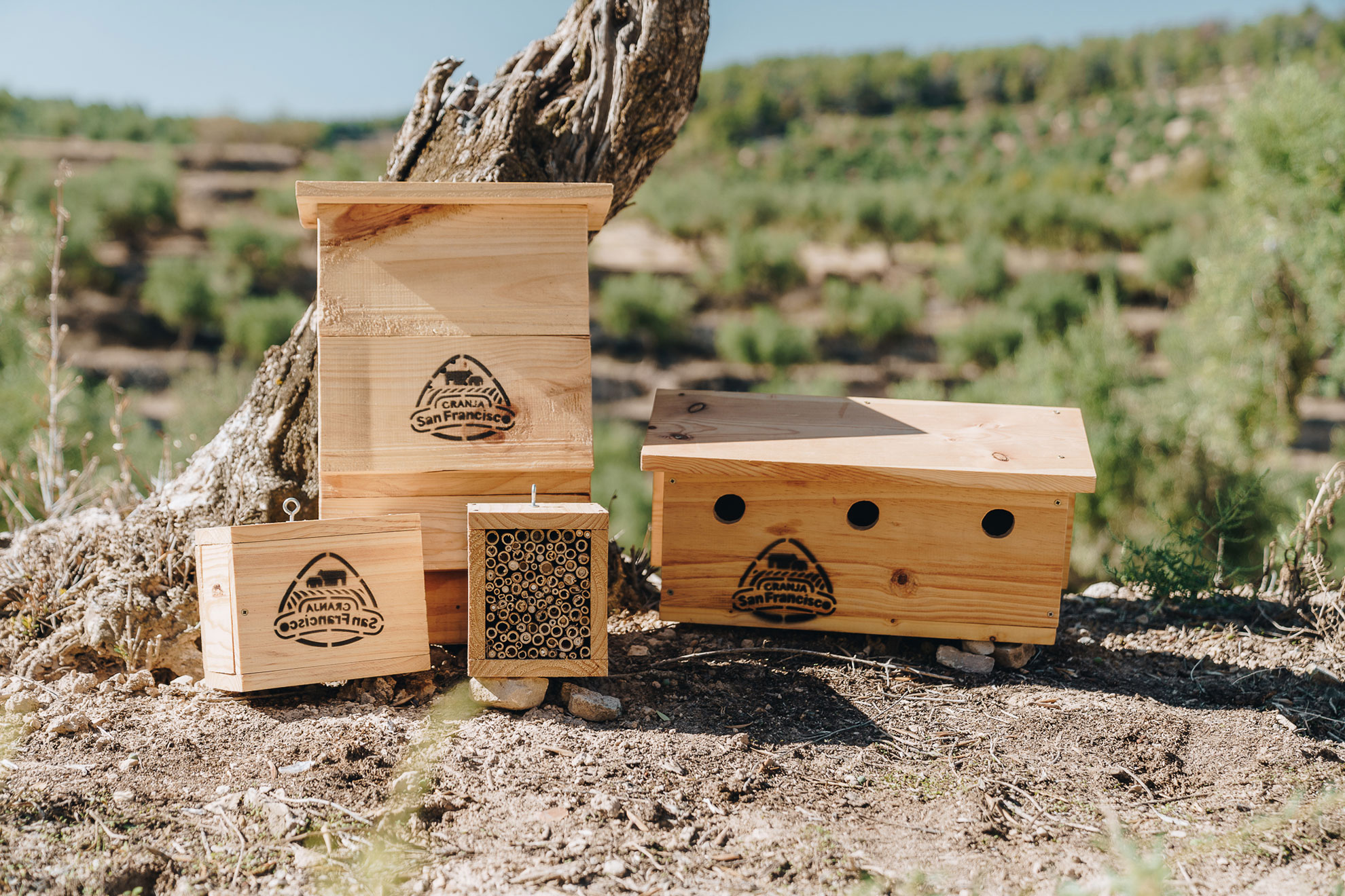 Agricultura Regenerativa Vallbona de les Monges